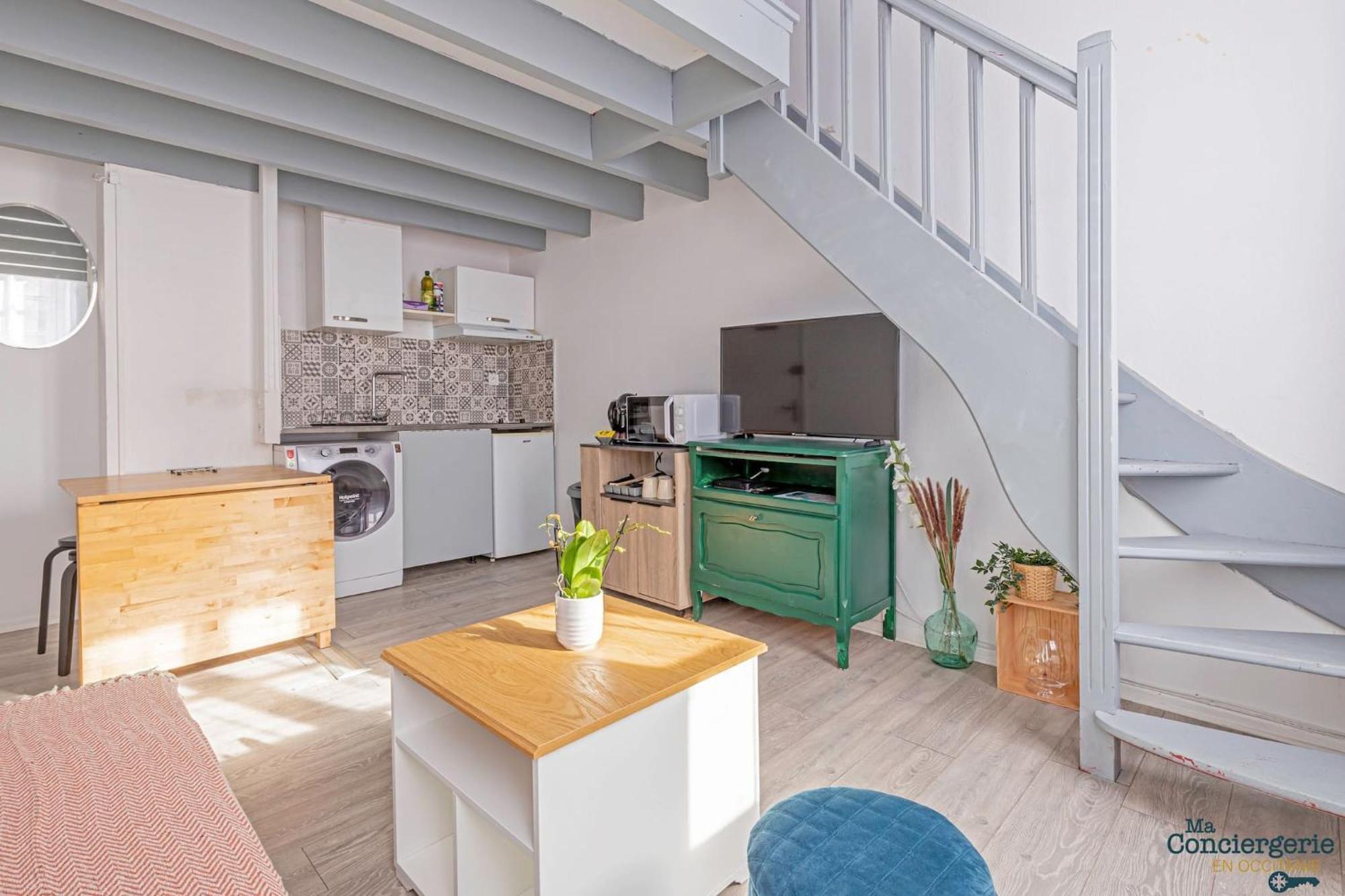 Ferienwohnung Duplex Champetre : Gare, Marche, Hypercentre Toulouse Exterior foto