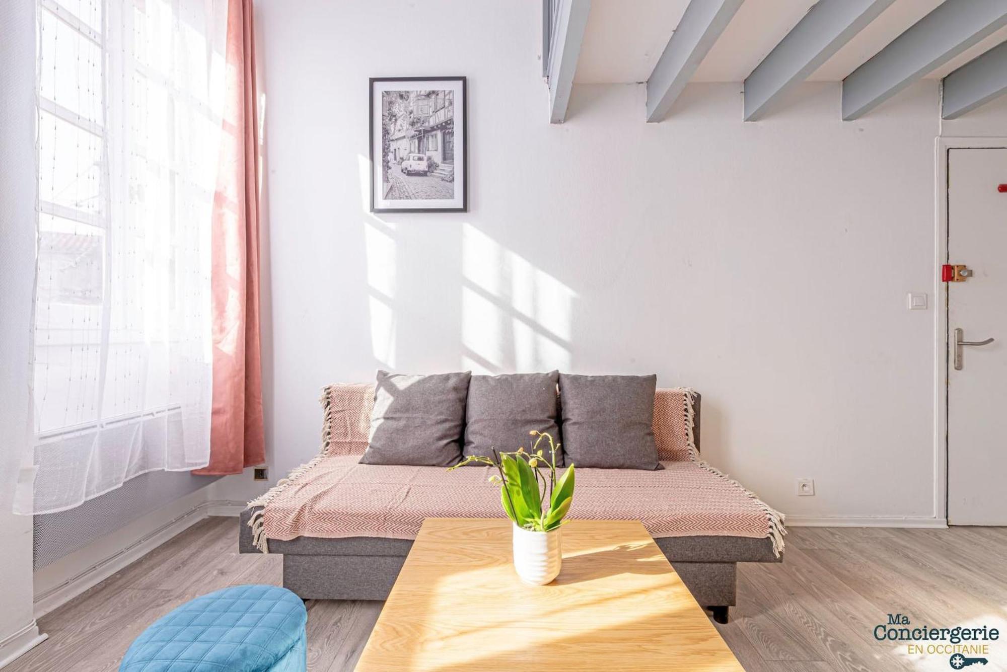 Ferienwohnung Duplex Champetre : Gare, Marche, Hypercentre Toulouse Exterior foto
