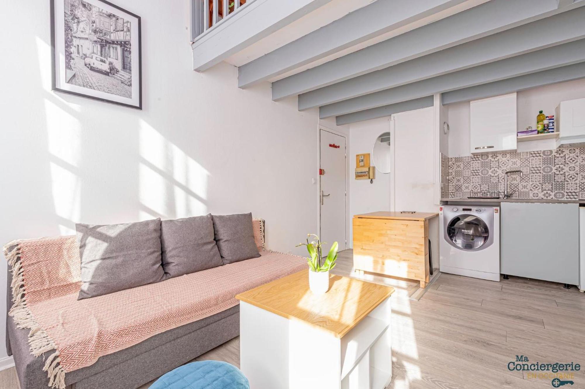 Ferienwohnung Duplex Champetre : Gare, Marche, Hypercentre Toulouse Exterior foto