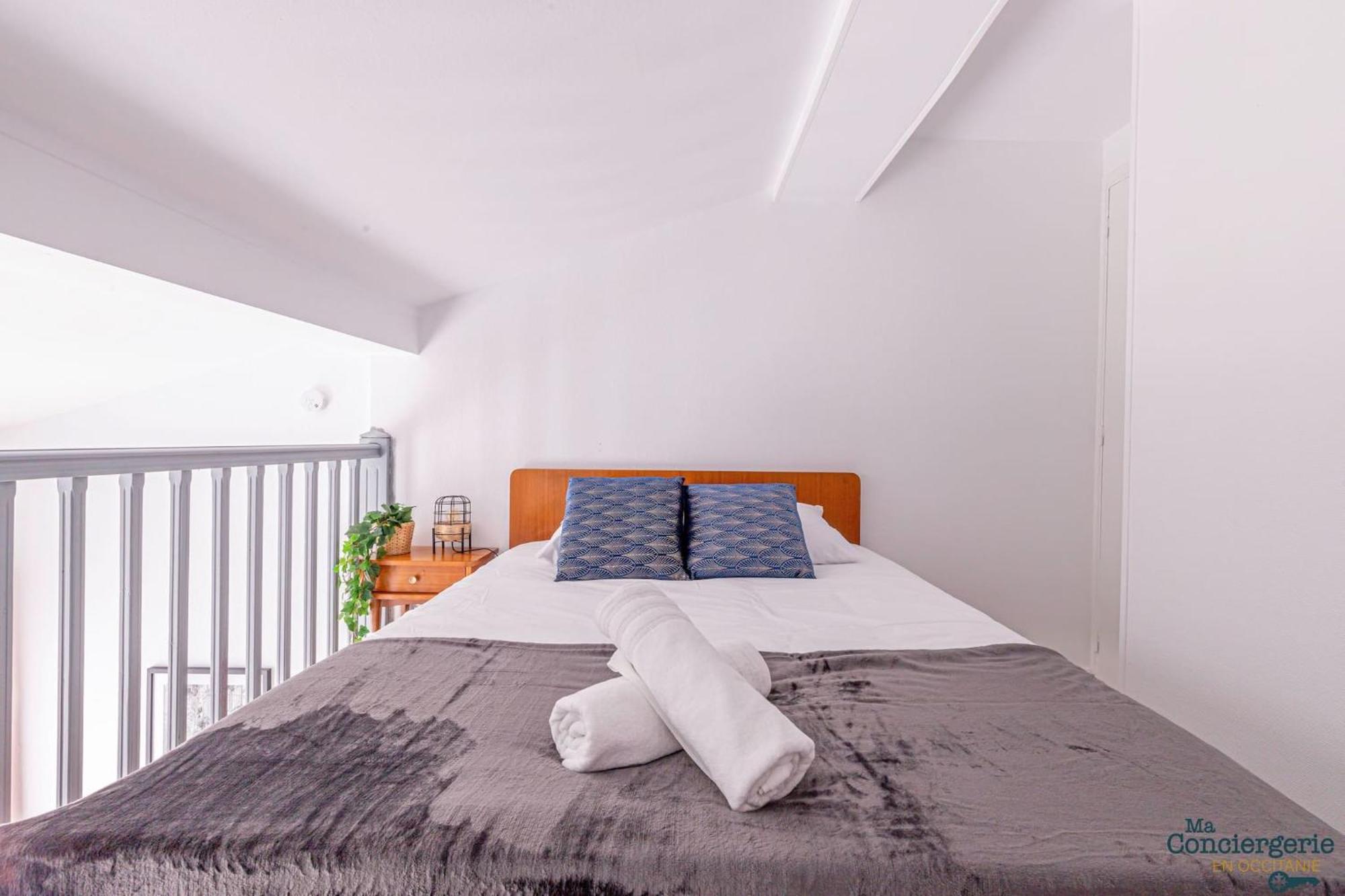 Ferienwohnung Duplex Champetre : Gare, Marche, Hypercentre Toulouse Exterior foto